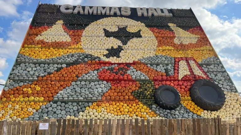 Essex Farmer's £10k Pumpkin Mosaic Sparks Interest