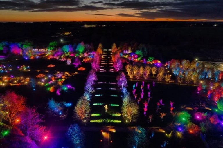 Experience the Festive Magic of RHS Glow at Hyde Hall