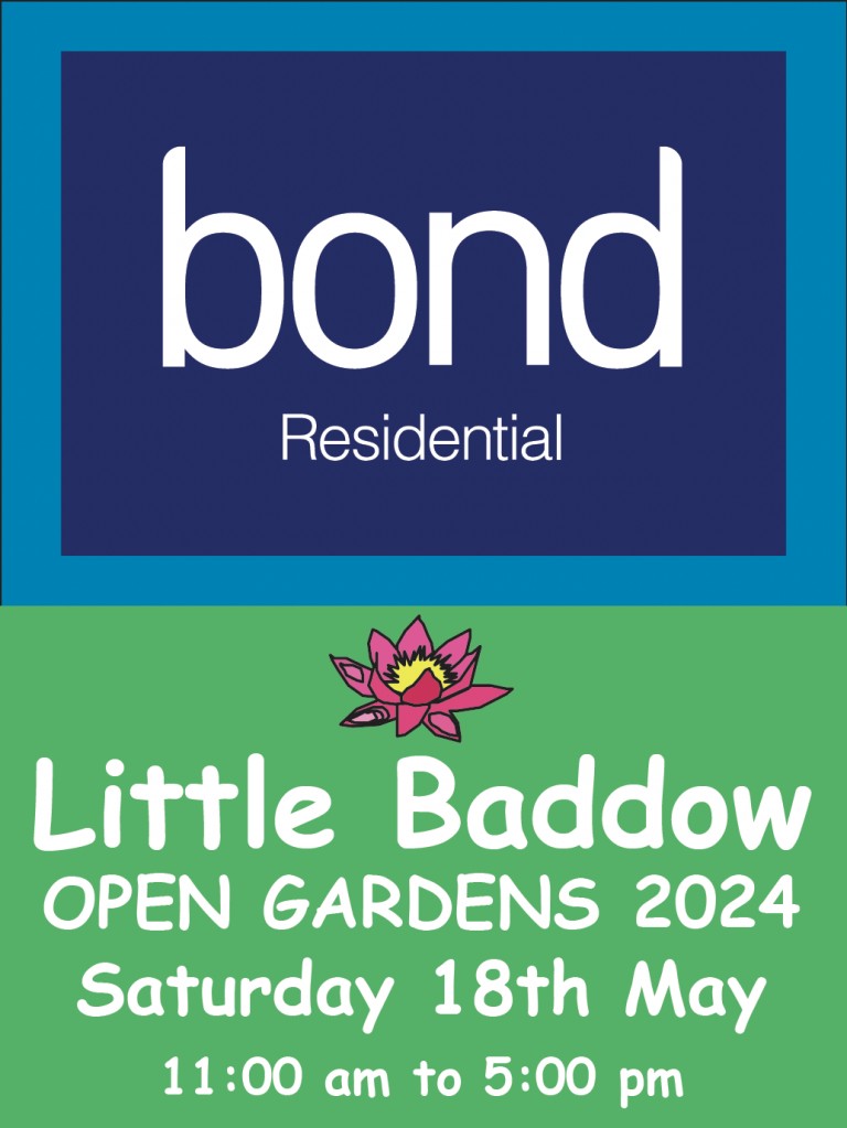 Little Baddow Open Gardens: A Day of Delights